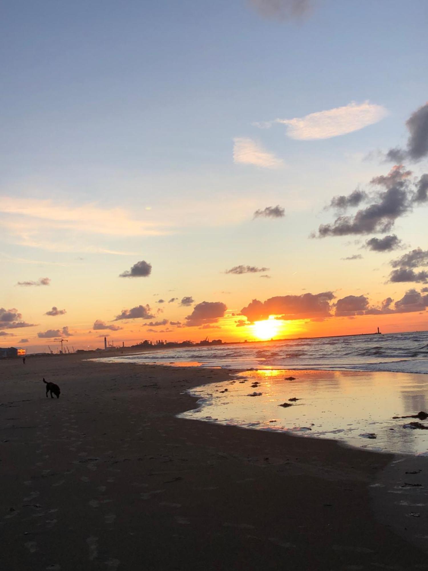 Appartement Sur La Plage De Malo Les Bains Vue Mer Dunkirk Exteriér fotografie